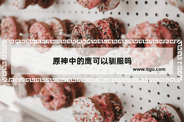 原神中的鹰可以驯服吗