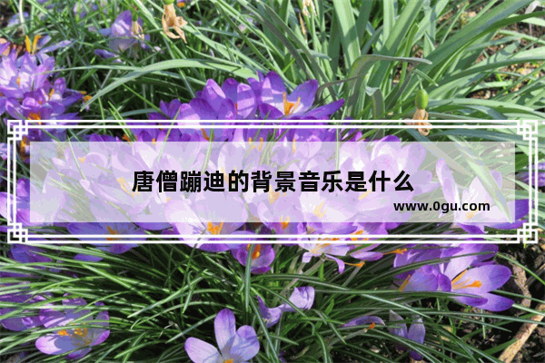 唐僧蹦迪的背景音乐是什么