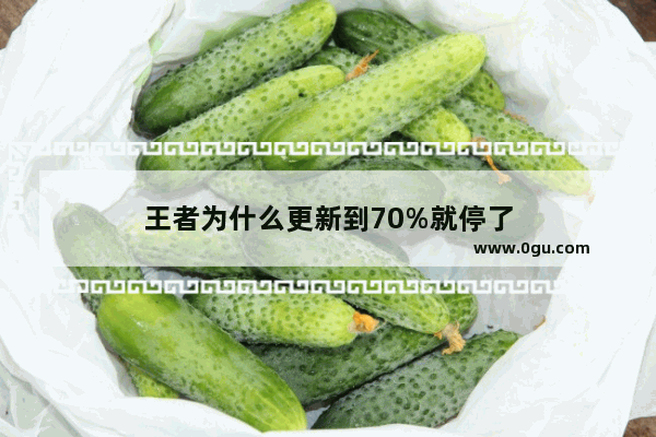 王者为什么更新到70%就停了