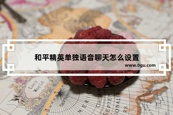 和平精英单独语音聊天怎么设置