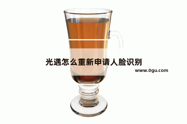 光遇怎么重新申请人脸识别