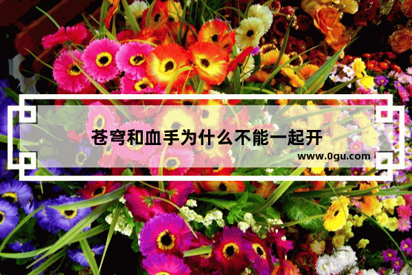苍穹和血手为什么不能一起开