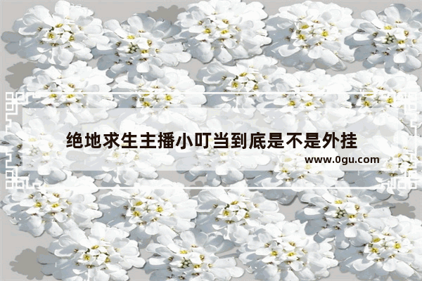 绝地求生主播小叮当到底是不是外挂
