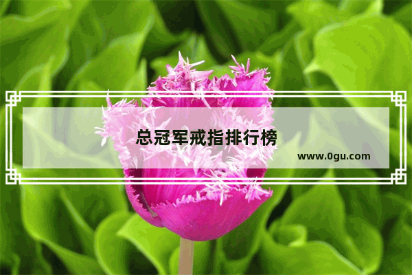 总冠军戒指排行榜
