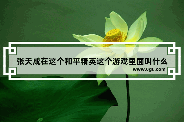 张天成在这个和平精英这个游戏里面叫什么
