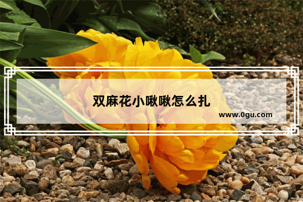 双麻花小啾啾怎么扎
