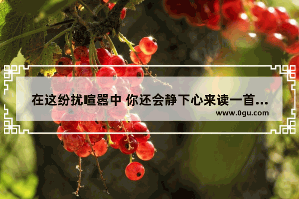 在这纷扰喧嚣中 你还会静下心来读一首诗让烦燥的心回归纯净吗