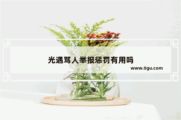 光遇骂人举报惩罚有用吗