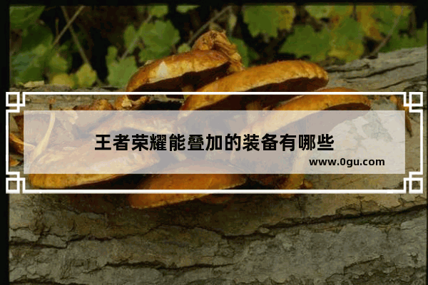 王者荣耀能叠加的装备有哪些