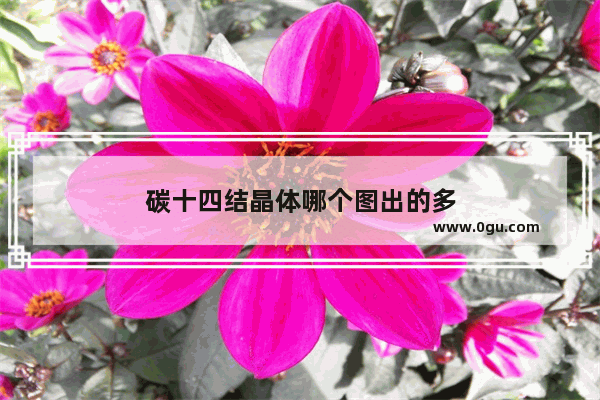 碳十四结晶体哪个图出的多