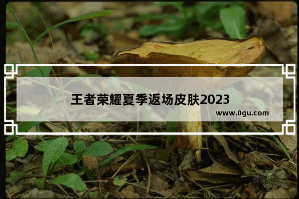 王者荣耀夏季返场皮肤2023