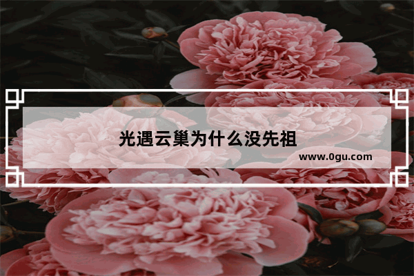 光遇云巢为什么没先祖