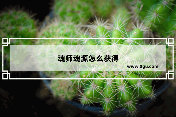 魂师魂源怎么获得