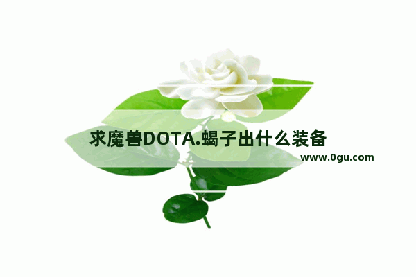 求魔兽DOTA.蝎子出什么装备