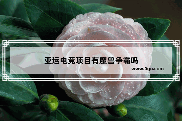 亚运电竞项目有魔兽争霸吗