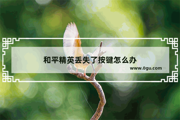 和平精英丢失了按键怎么办