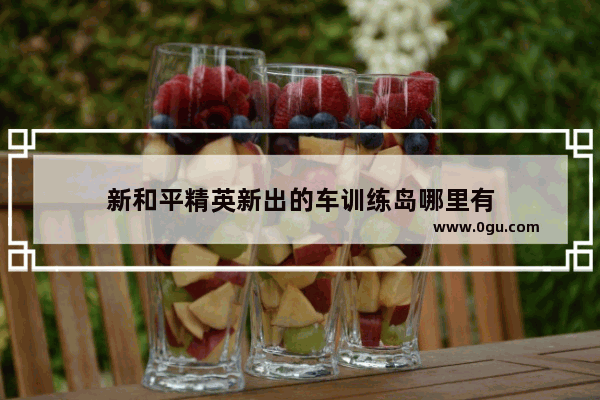新和平精英新出的车训练岛哪里有