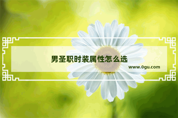 男圣职时装属性怎么选