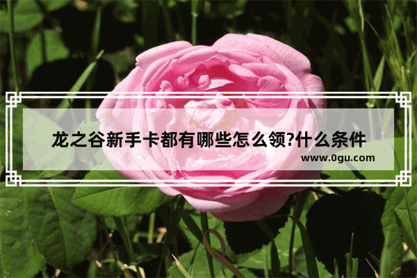 龙之谷新手卡都有哪些怎么领?什么条件