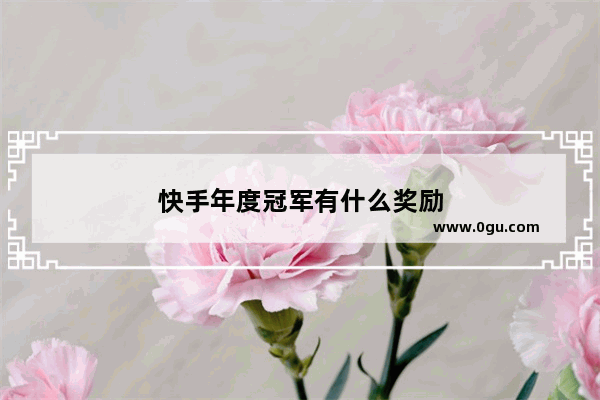 快手年度冠军有什么奖励