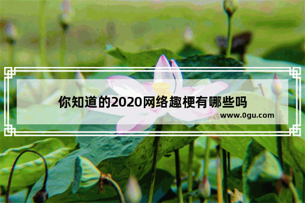 你知道的2020网络趣梗有哪些吗