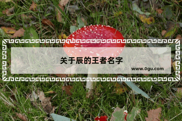 关于辰的王者名字