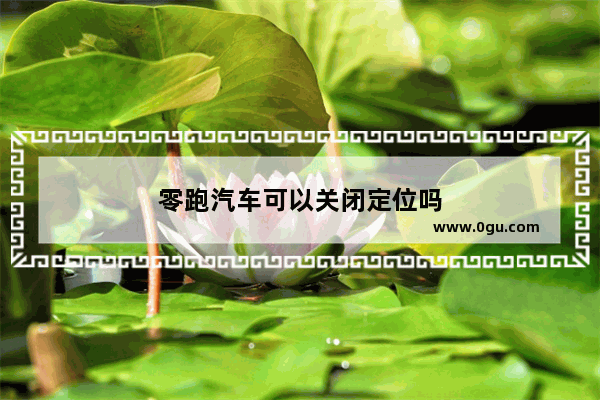 零跑汽车可以关闭定位吗