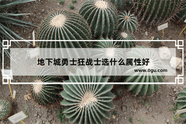 地下城勇士狂战士选什么属性好