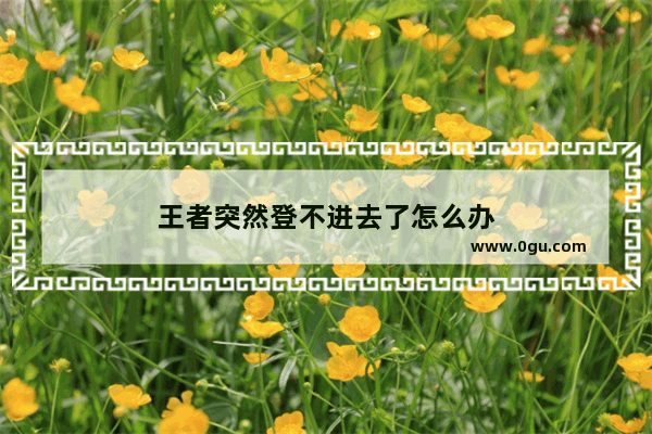 王者突然登不进去了怎么办