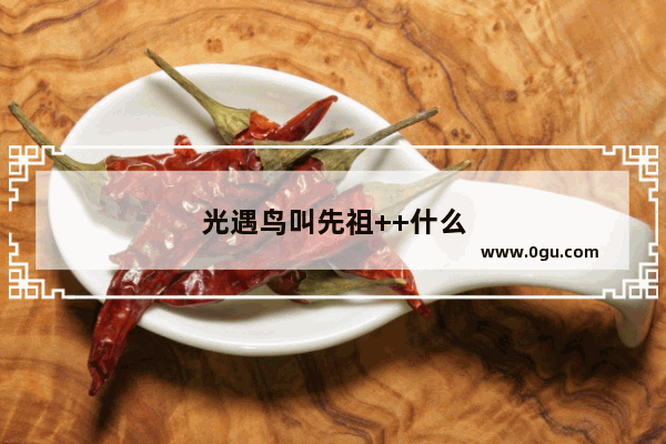 光遇鸟叫先祖++什么