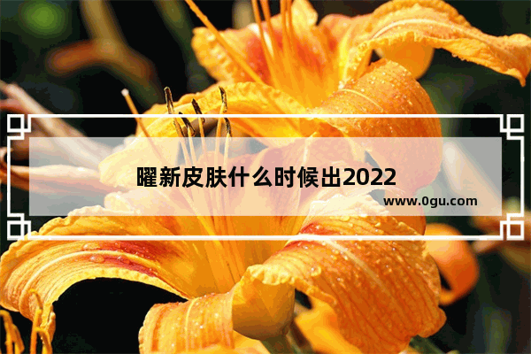曜新皮肤什么时候出2022