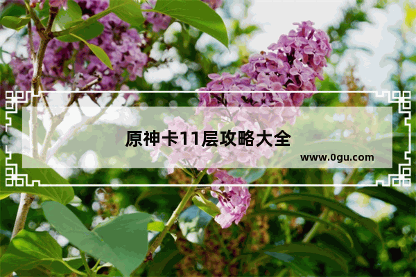 原神卡11层攻略大全