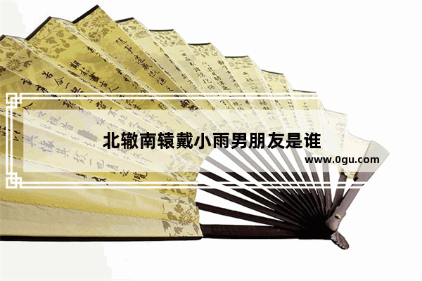 北辙南辕戴小雨男朋友是谁