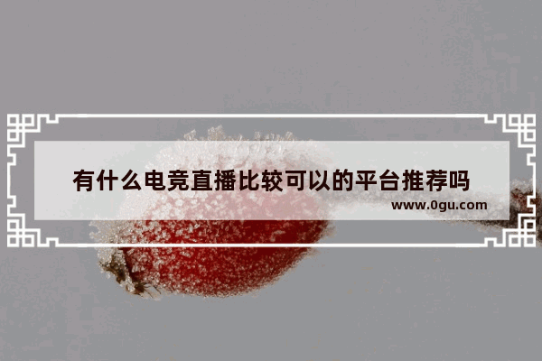 有什么电竞直播比较可以的平台推荐吗