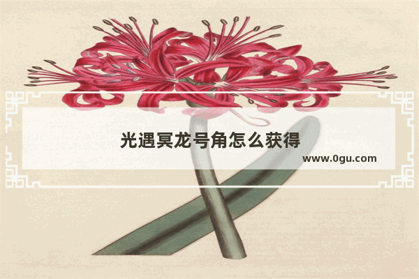 光遇冥龙号角怎么获得