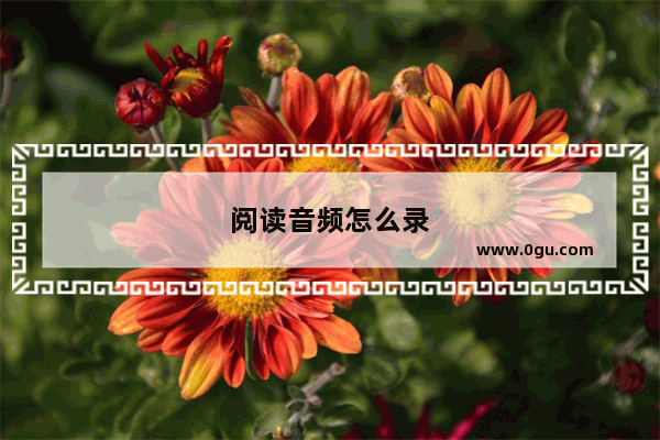 阅读音频怎么录