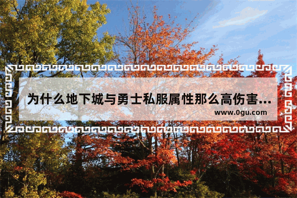 为什么地下城与勇士私服属性那么高伤害为什么很低