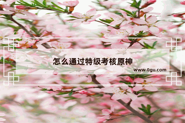 怎么通过特级考核原神
