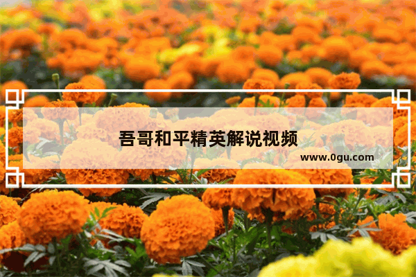 吾哥和平精英解说视频