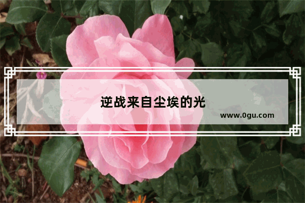 逆战来自尘埃的光