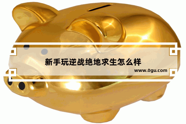 新手玩逆战绝地求生怎么样