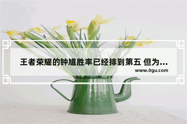 王者荣耀的钟馗胜率已经排到第五 但为什么很多玩家还是不看好这个英雄