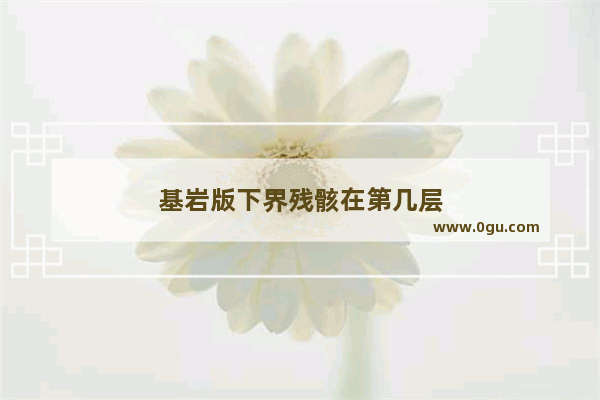 基岩版下界残骸在第几层