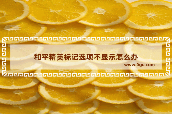 和平精英标记选项不显示怎么办
