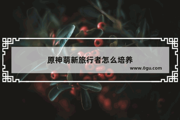 原神萌新旅行者怎么培养
