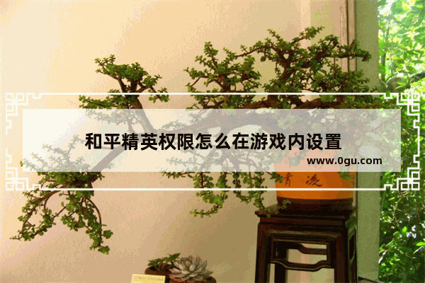 和平精英权限怎么在游戏内设置