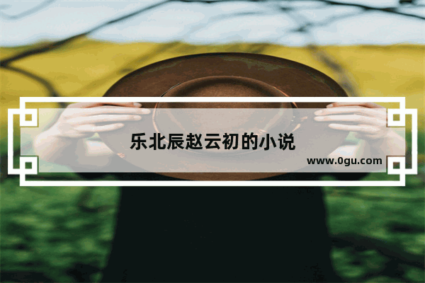 乐北辰赵云初的小说