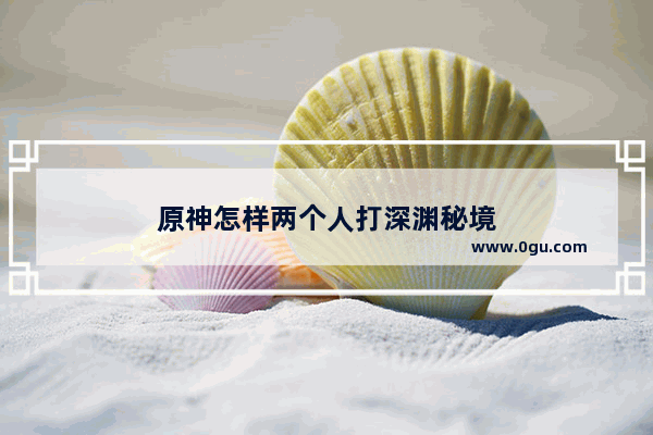 原神怎样两个人打深渊秘境