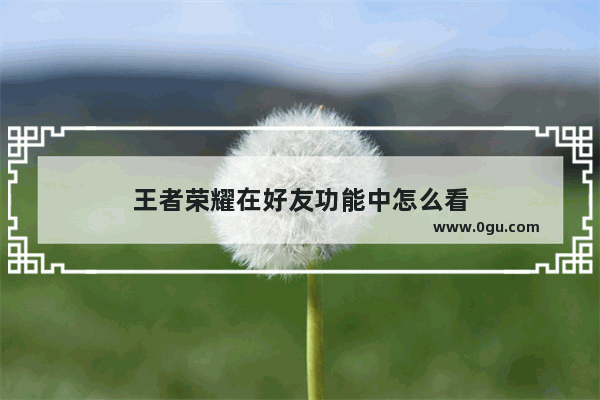 王者荣耀在好友功能中怎么看