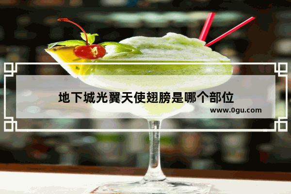地下城光翼天使翅膀是哪个部位